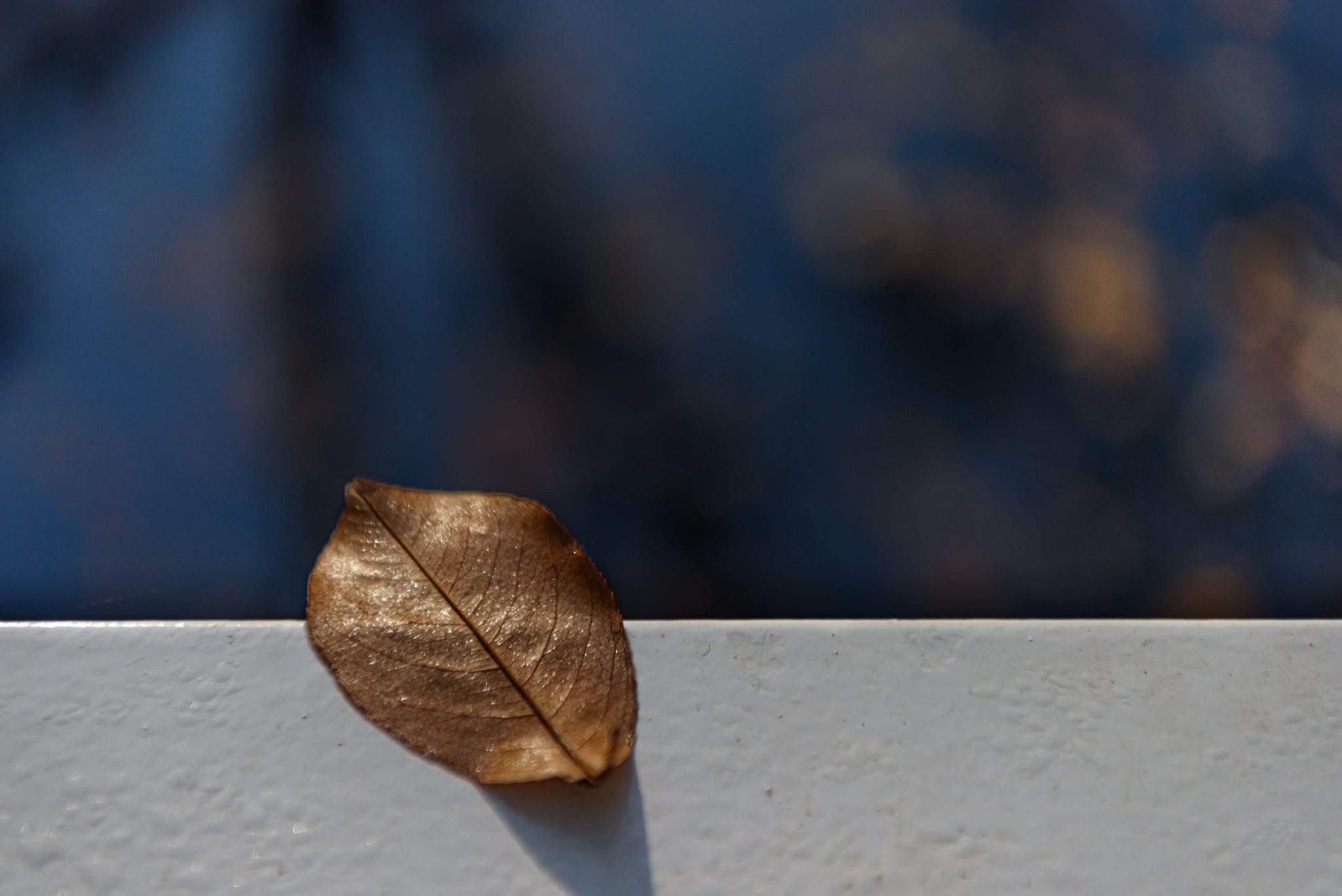 Herfst   5